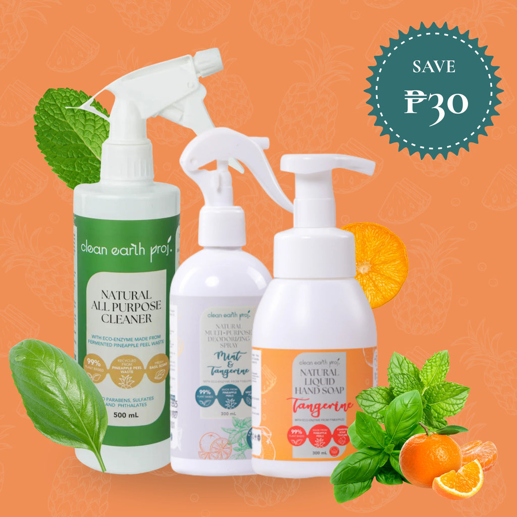 Non-toxic plant-based starter kit with natural tangerine hand wash, mint deodorizing spray, and holy basil surface cleaner