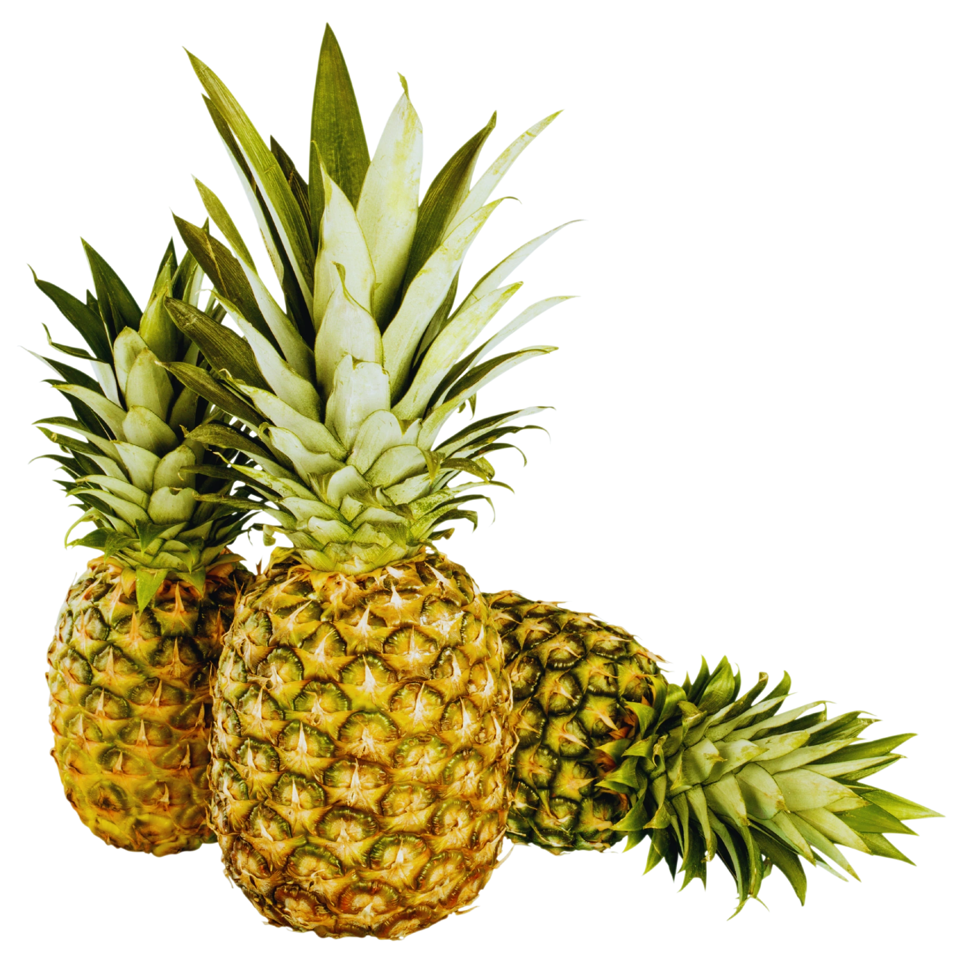 Clean Earth eco-enzyme brand design asset showing whole pineapples with transparent background